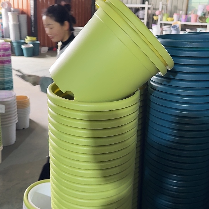 四季4#口径25果绿8个无托