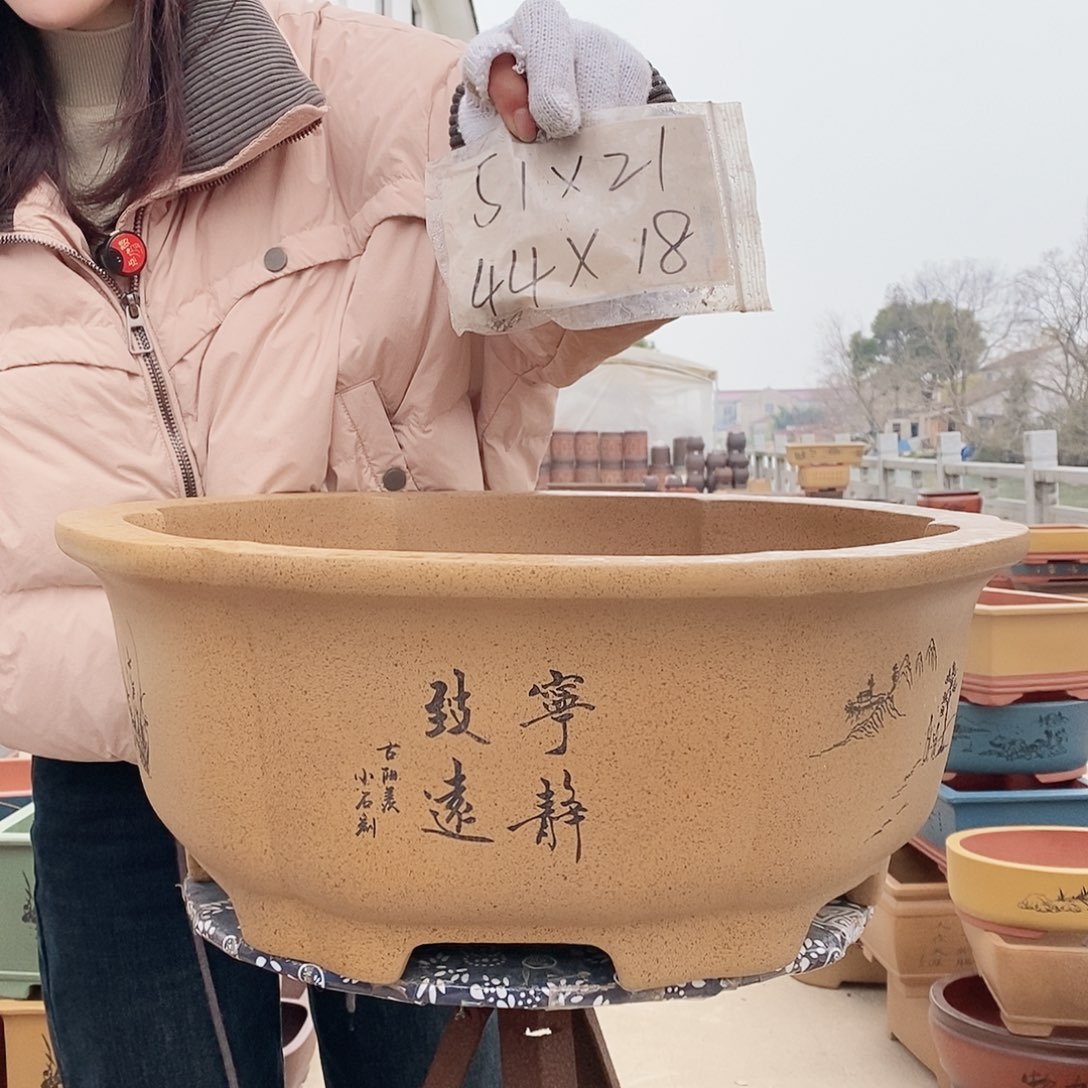 紫砂花盆紫砂花盆