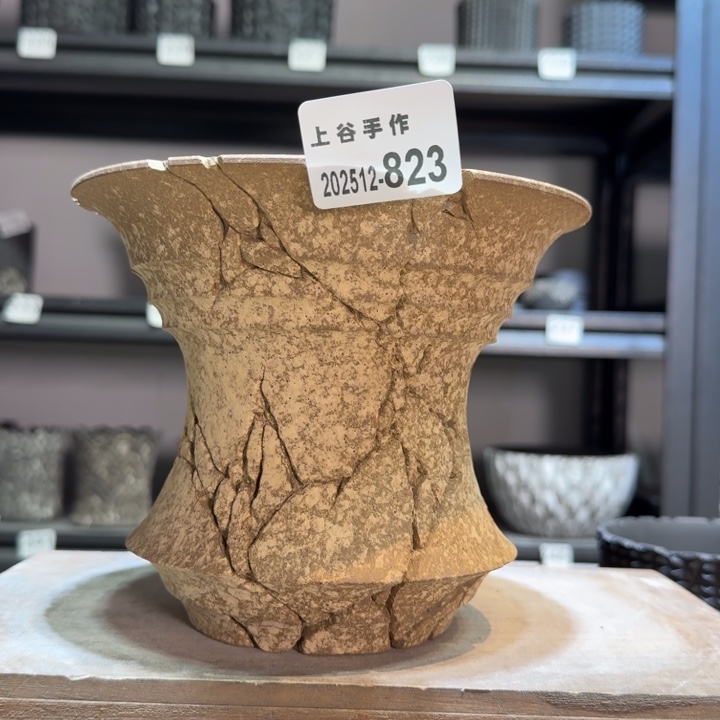 内口17高14块根植物盆