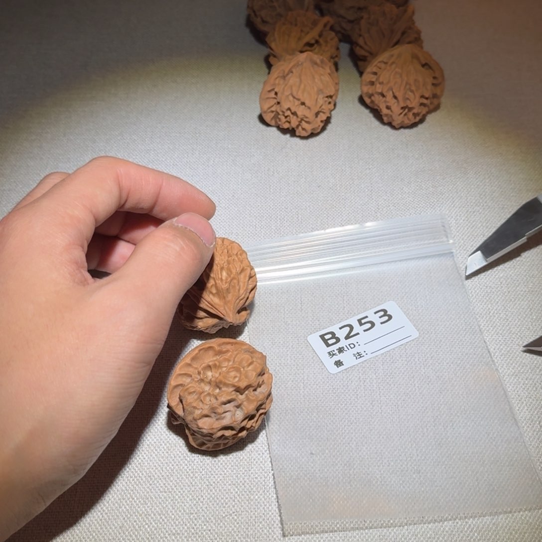 文玩核桃吊坠龙鳞253