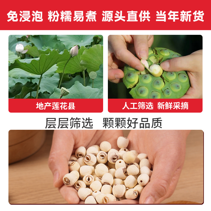 莲小花莲子磨皮白莲子无芯500g江西莲花特产银耳百合羹粥料干货