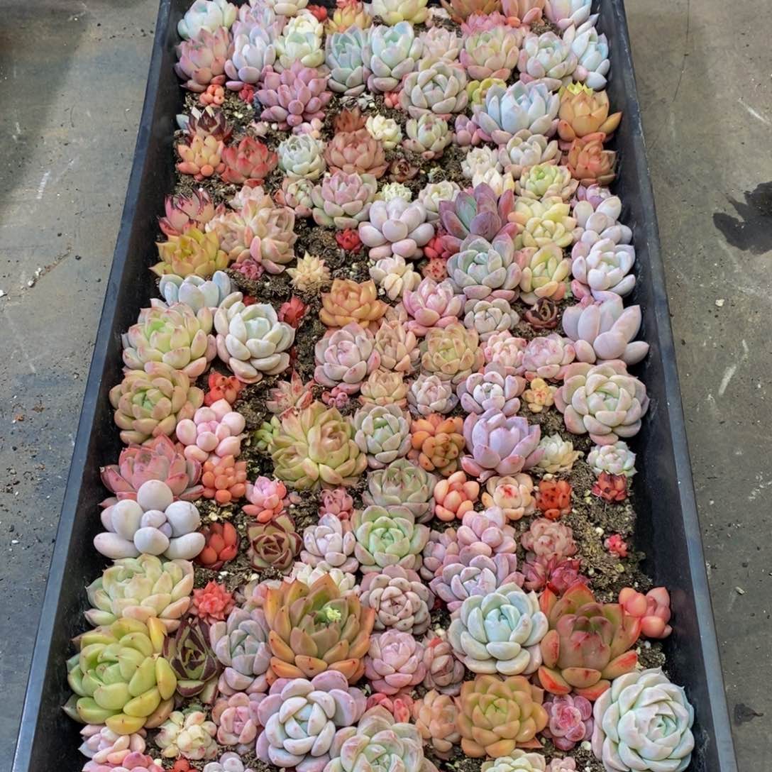 114的人和我一起看