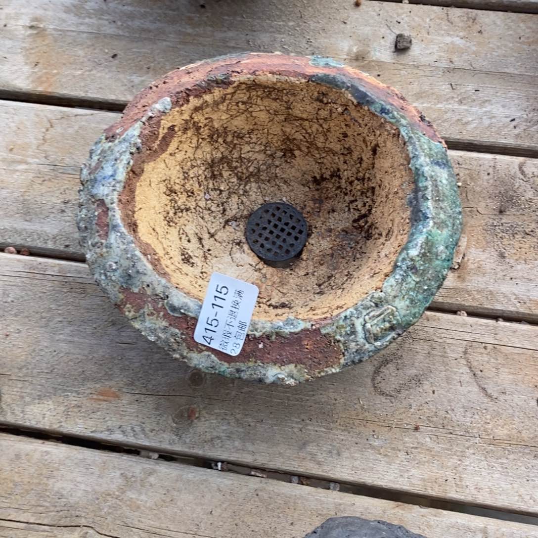 初**115号多肉盆一个呀