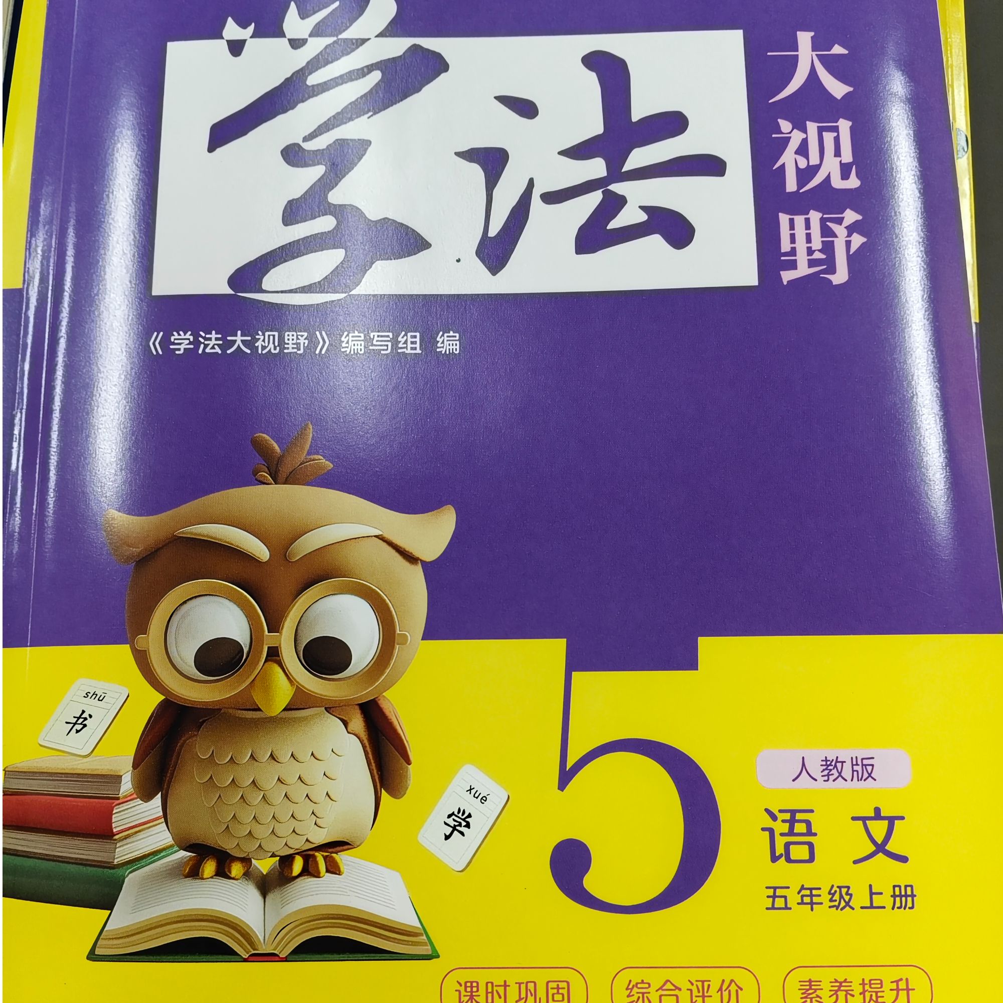 小学学法大视野（语数英道德科学）