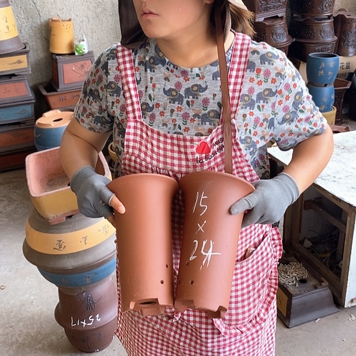 紫砂花盆盆栽花卉种植