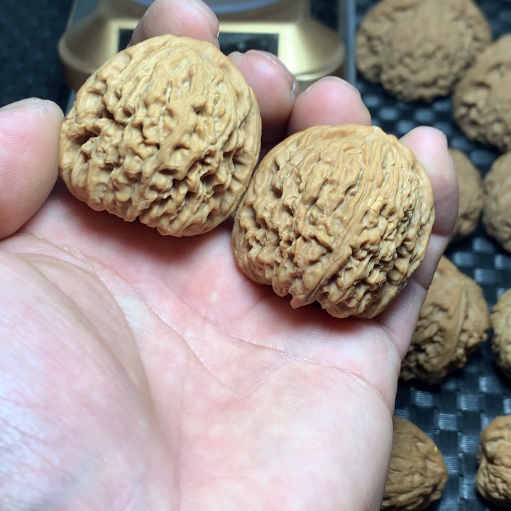 文玩核桃把件L***。南将石逐鹿南将石村一代