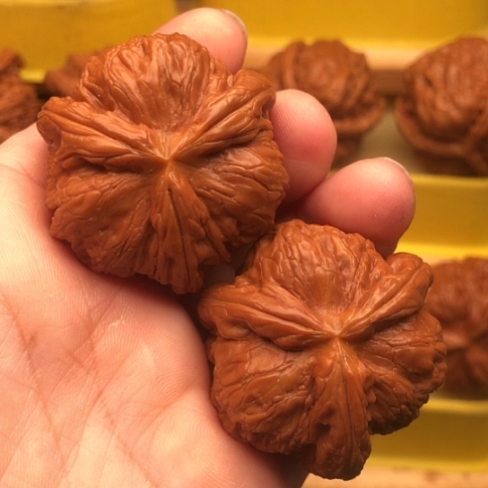 文玩核桃吊坠燕*核桃