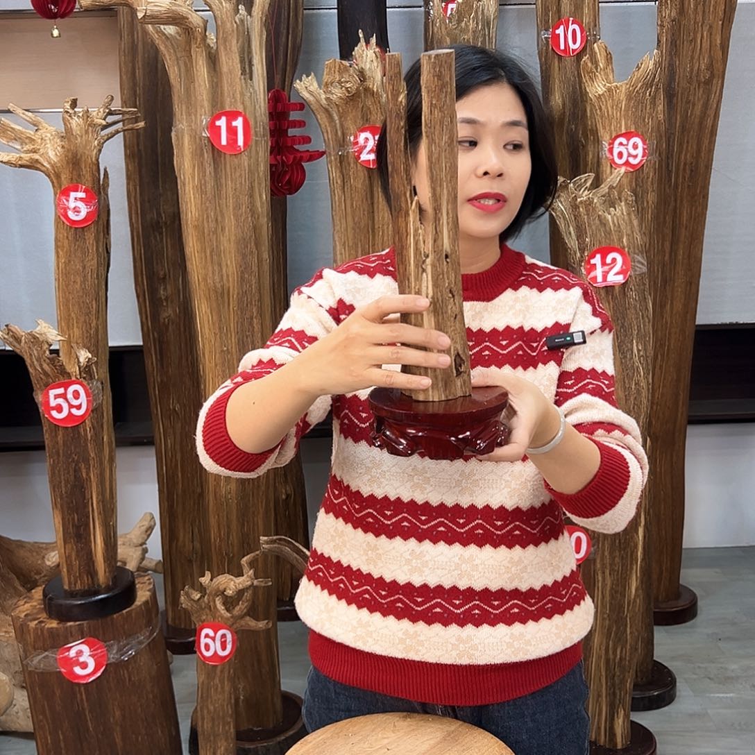 沉香摆件海南沉香摆件