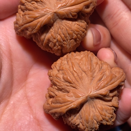 文玩核桃把件南疆44