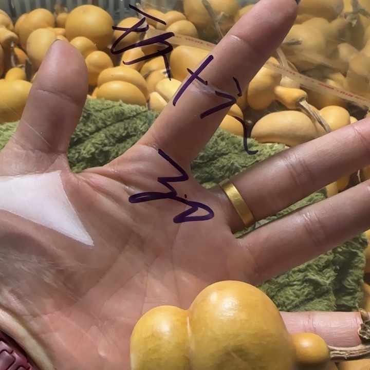 玖***六葫芦手把件葫芦葫芦