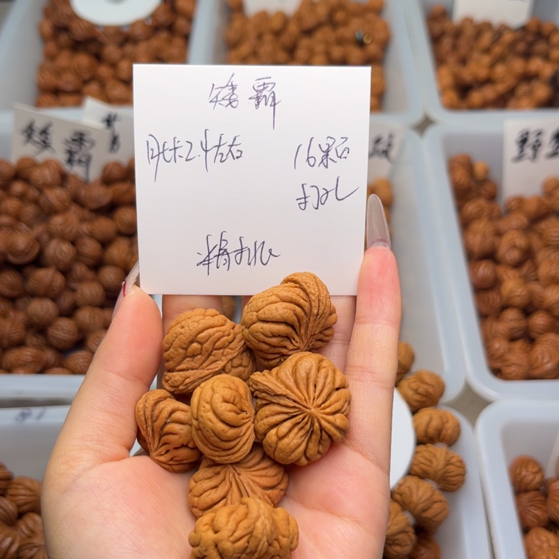 文玩核桃吊坠2.4左右霸王龙
