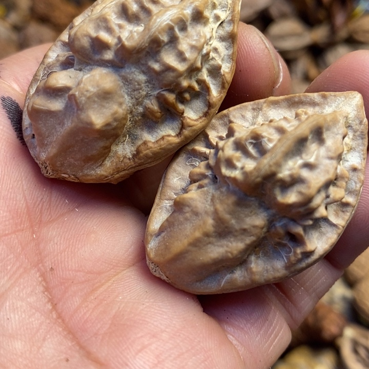 吊坠桃核东北特产139