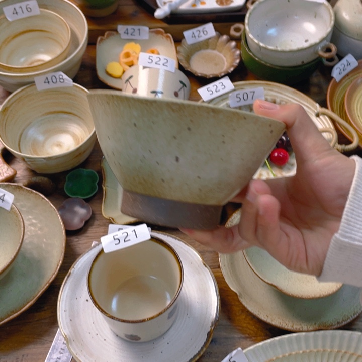 ε****景德镇陶瓷学院等单位的专家