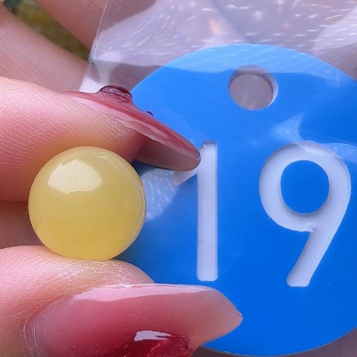 蜜蜡裸石未镶嵌10.8mm 鸡油黄 圆珠