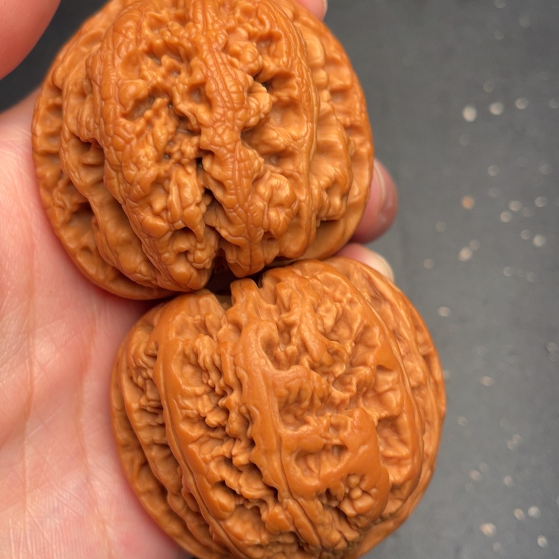 秦岭野生文玩核桃