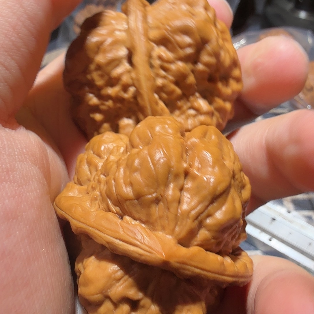 文玩核桃把件A**东金蟾