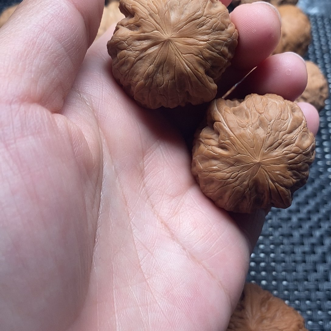 晗***读吊坠文玩核桃核桃