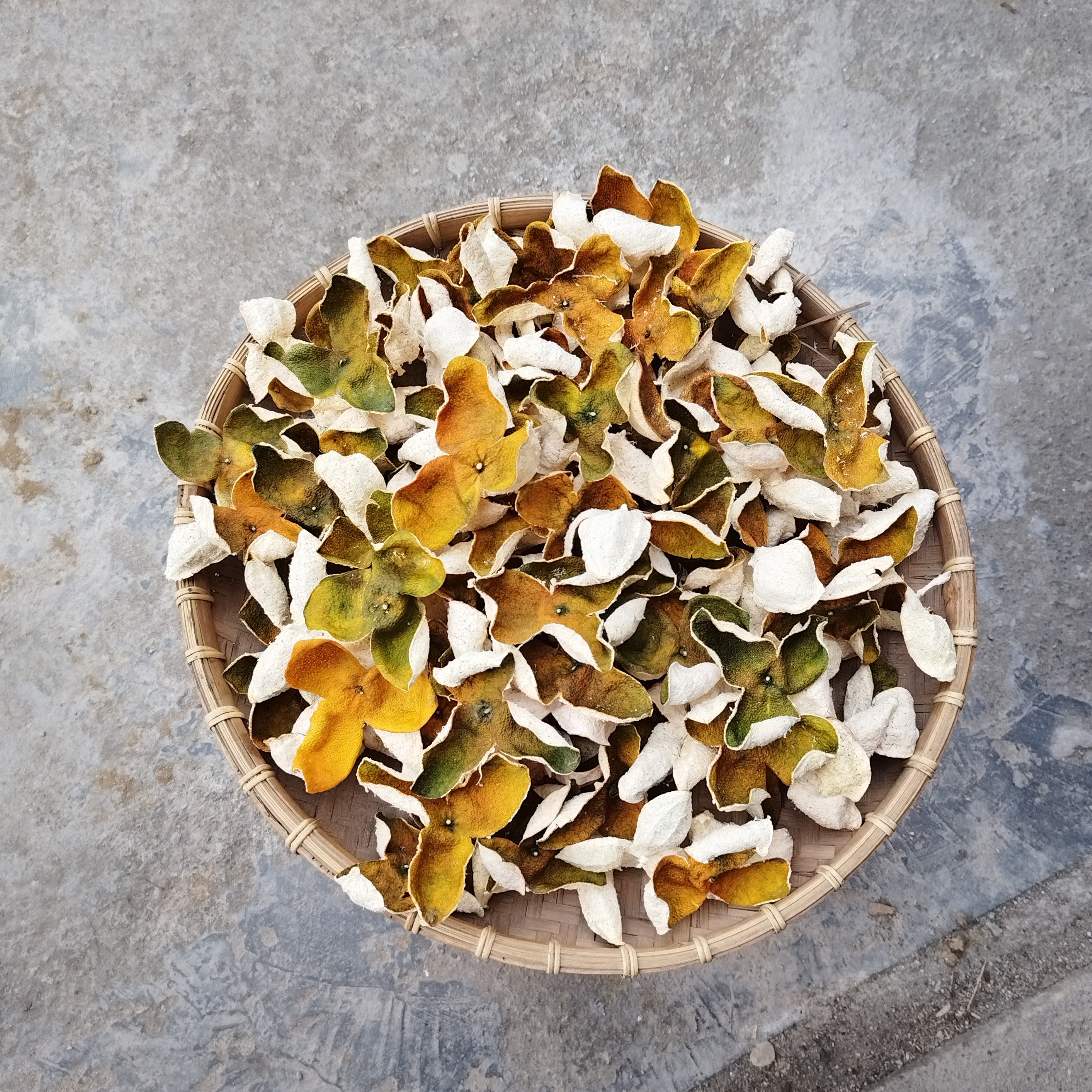 广西2025年茶枝柑6到12年树龄（二红皮）