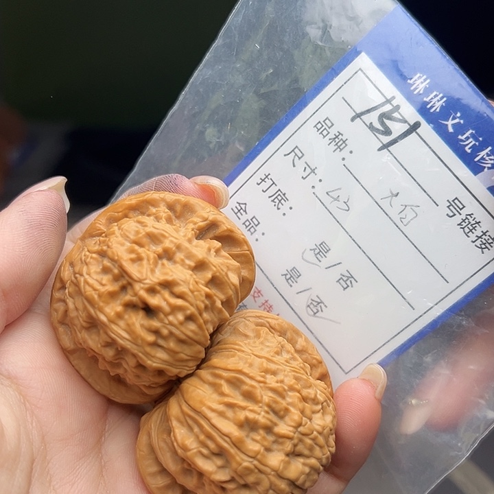文玩核桃吊坠核桃树151