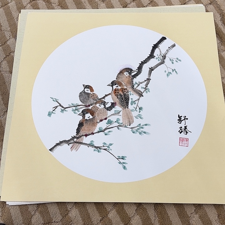 国画花鸟的翅膀和翅膀都是白色的