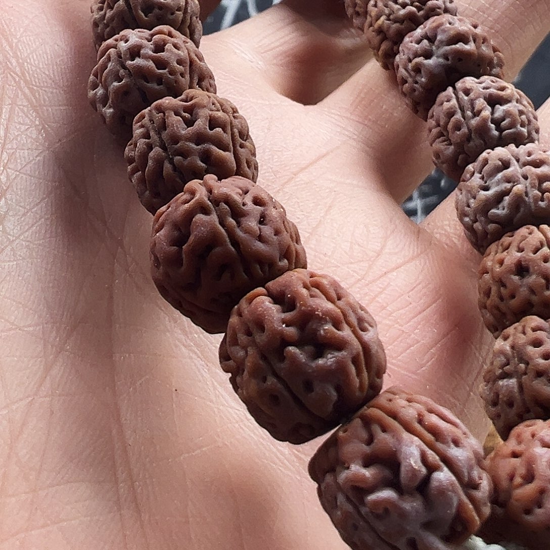金刚菩提吊坠高切盘龙12m