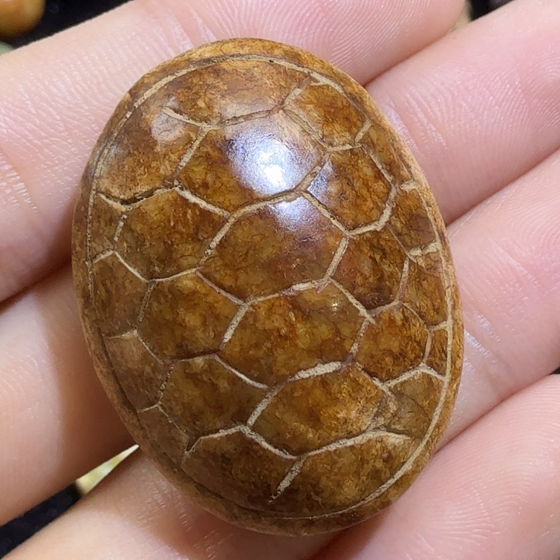 器物之美器物之美器物之美 