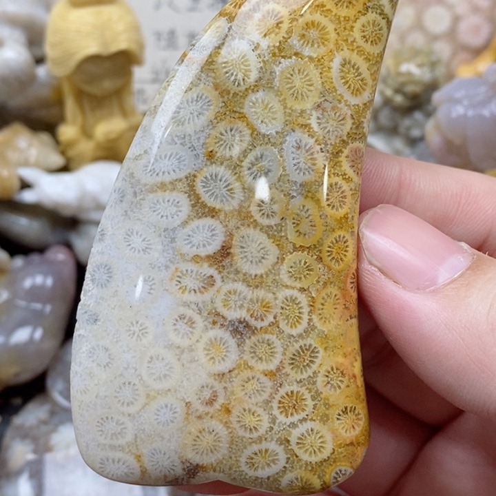 颈饰未镶嵌硅化珊瑚（珊瑚玉）