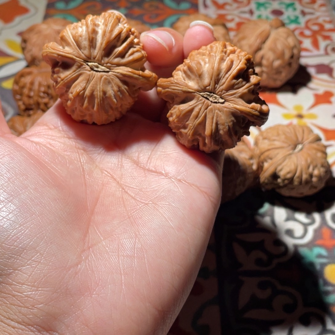 暴***子手串/手链核桃41白狮子