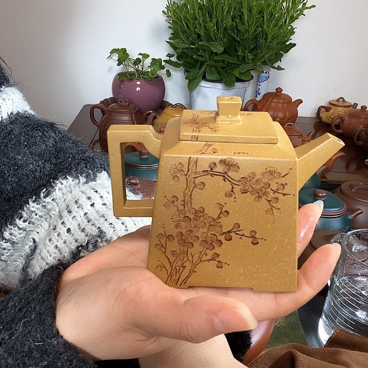 茶壶紫砂紫砂壶承紫砂茶宠