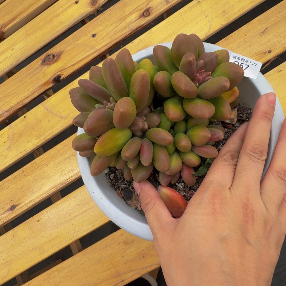 q q q q q q q q 57