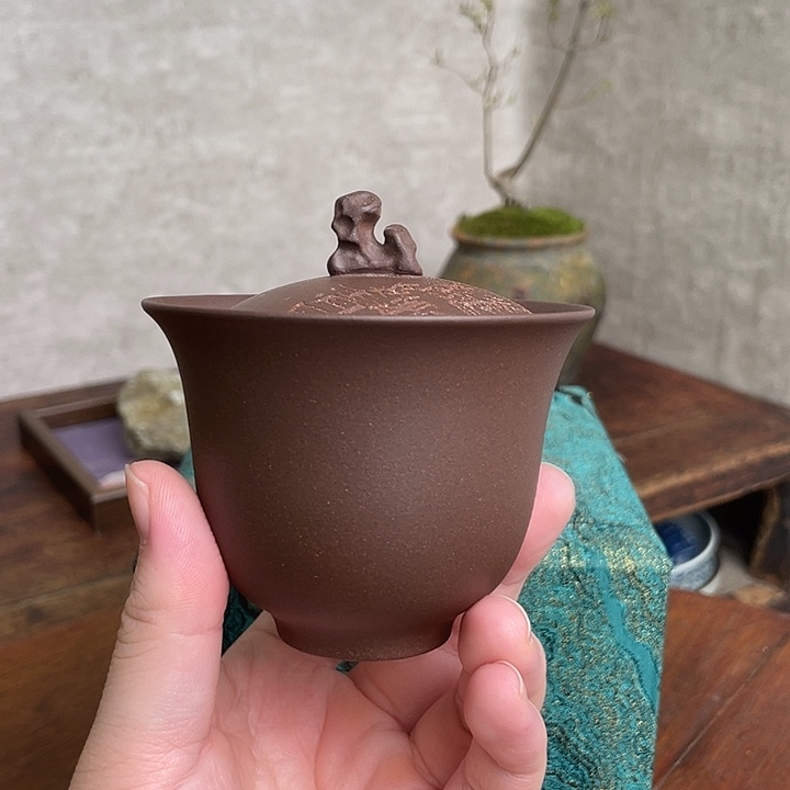 主人是谁的猫和我