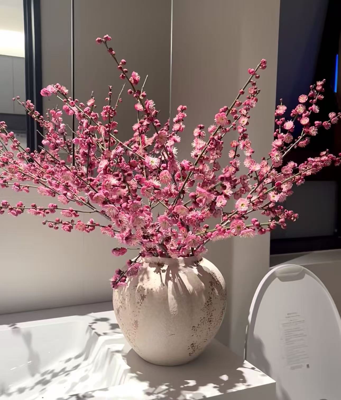 (梅花花卉室内）国风禅意氛围水培鲜切枝鲜花