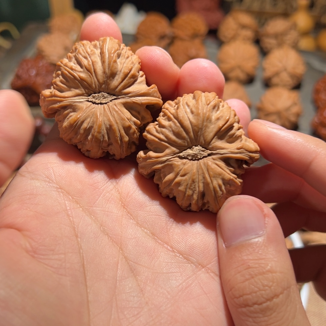 43 全品卡姿兰白狮子闷白