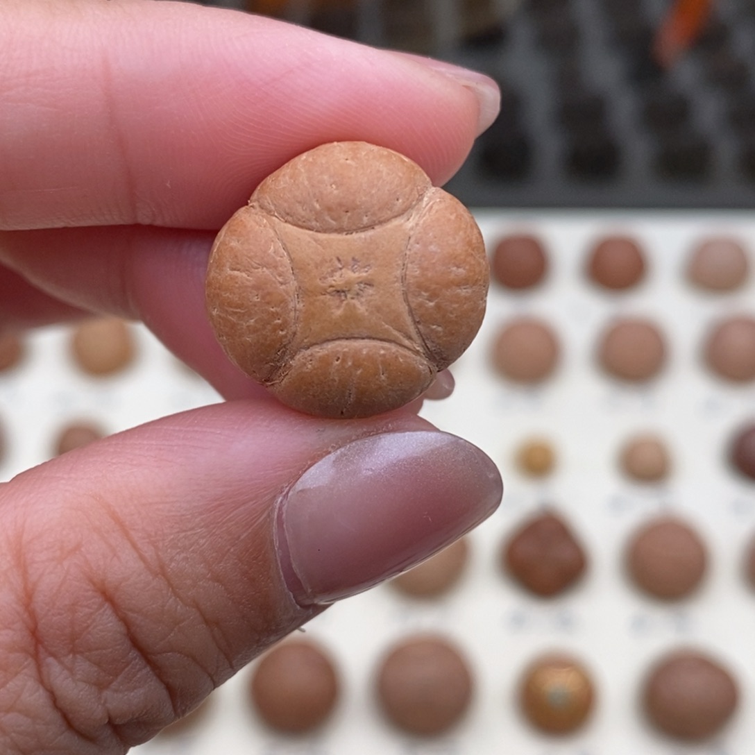 ༄***࿐吊坠凤眼菩提麒麟