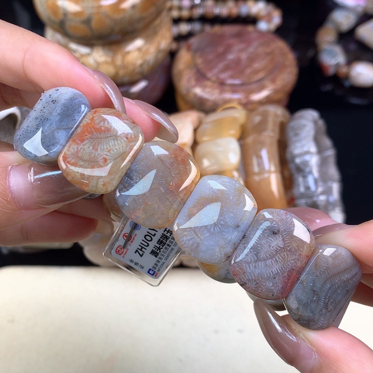 【闪购商品】颈饰未镶嵌硅化珊瑚（珊瑚玉）黑彩虫30号