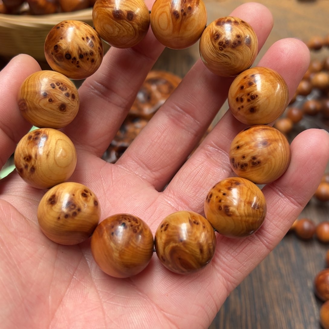 太行崖柏陈化太行