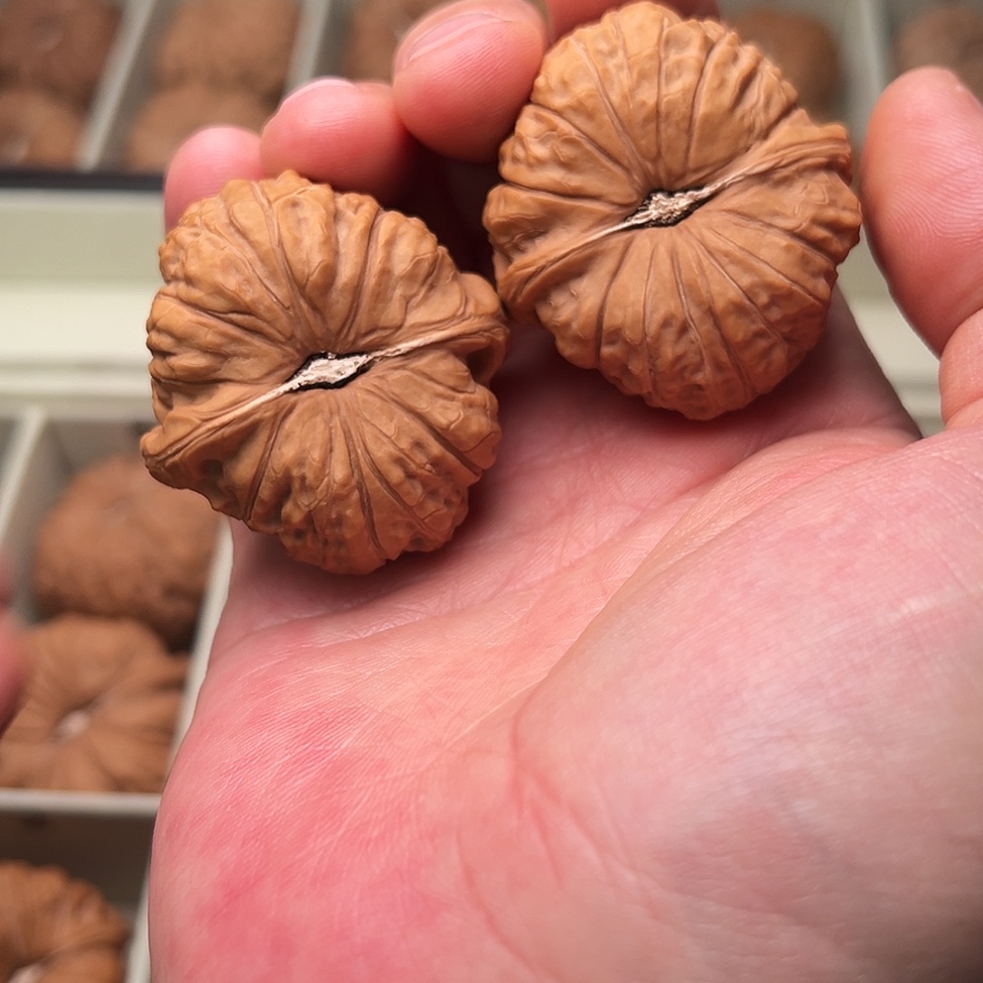 孤***者文玩核桃吊坠1109孤勇