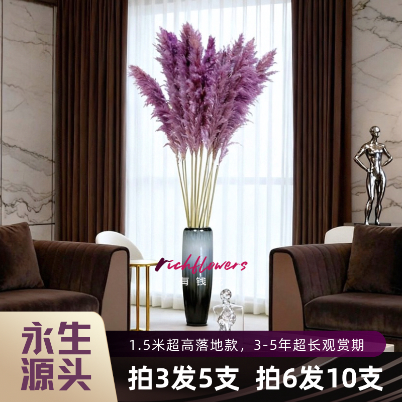 RF【凤羽蒲苇】落地款永生天然大蒲苇芦苇干花束客厅摆件家居
