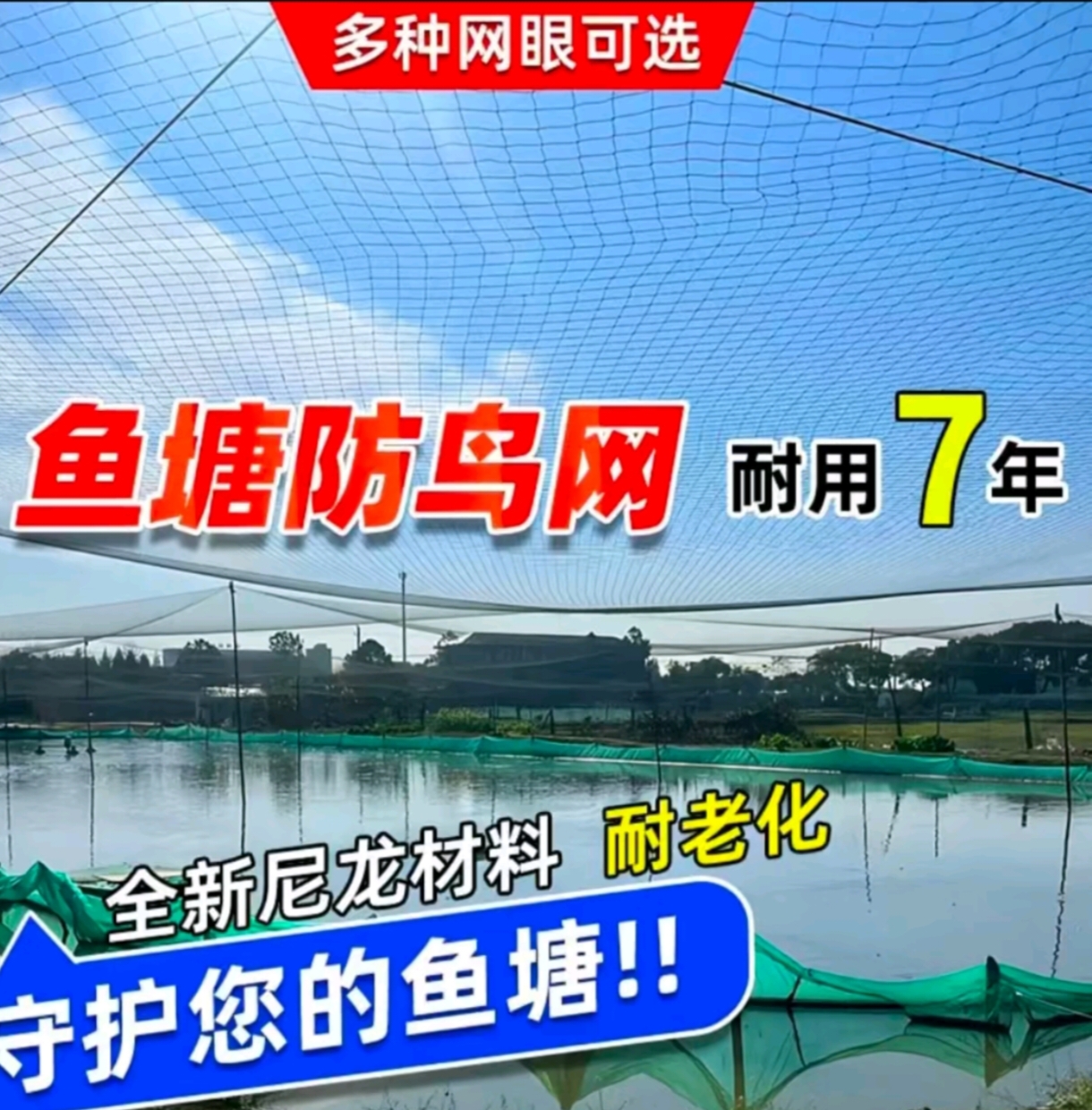 涤纶防鸟网高强防风果树果园大鹏养殖鱼塘户外防鸟网果园防护