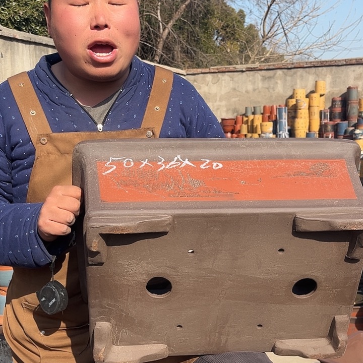 紫砂紫砂花盆盆栽
