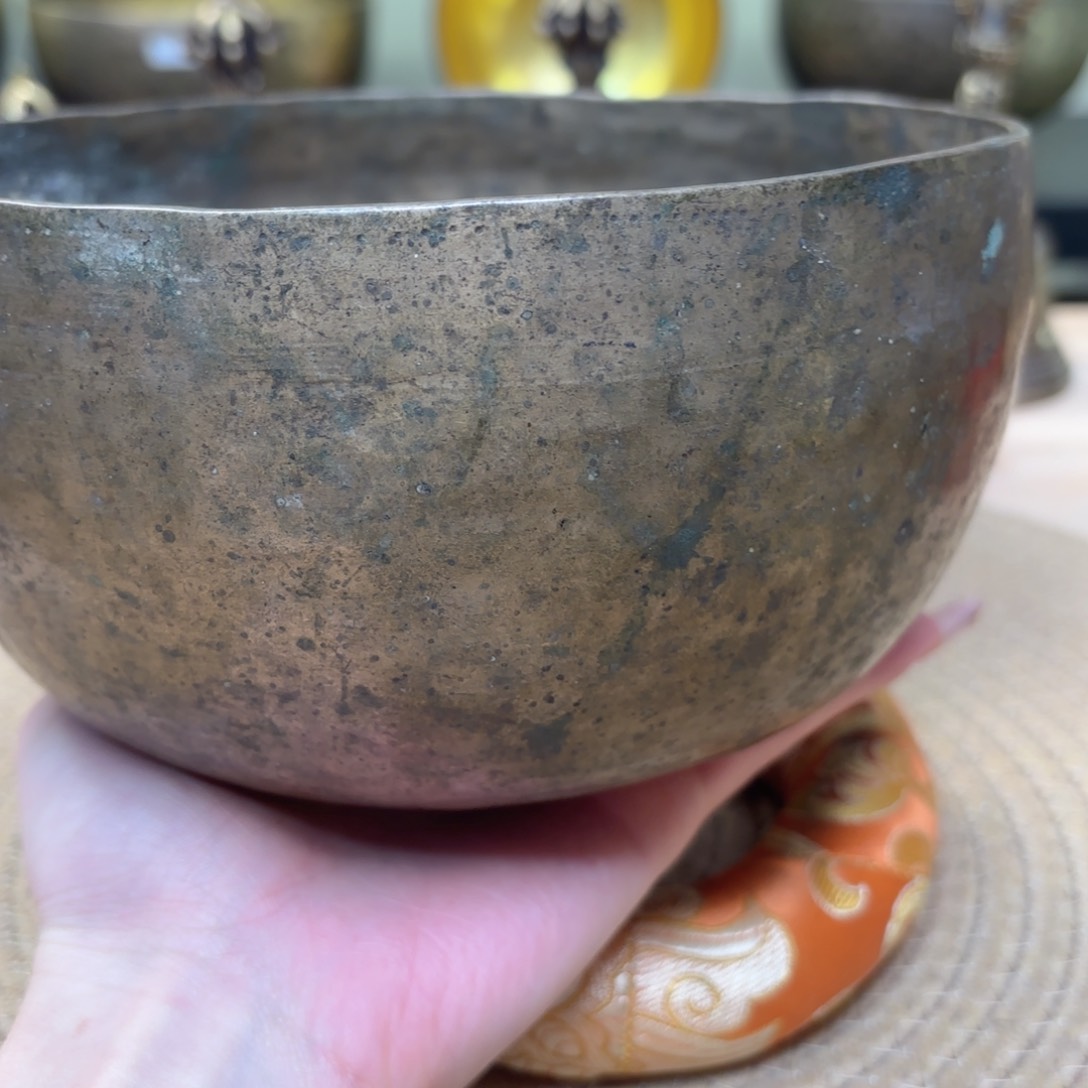 阳**润颂钵1111111111111