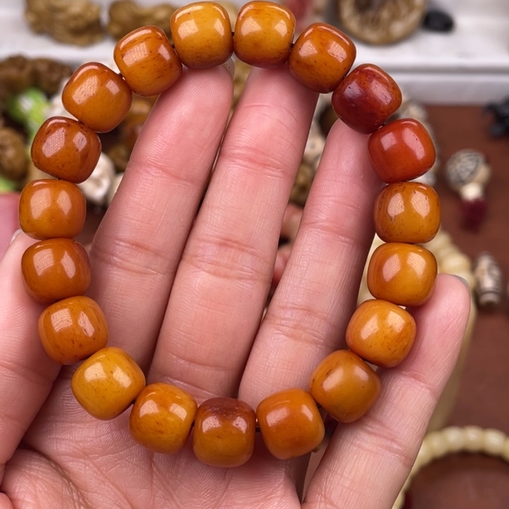 驼骨其他骆驼骨老邢12