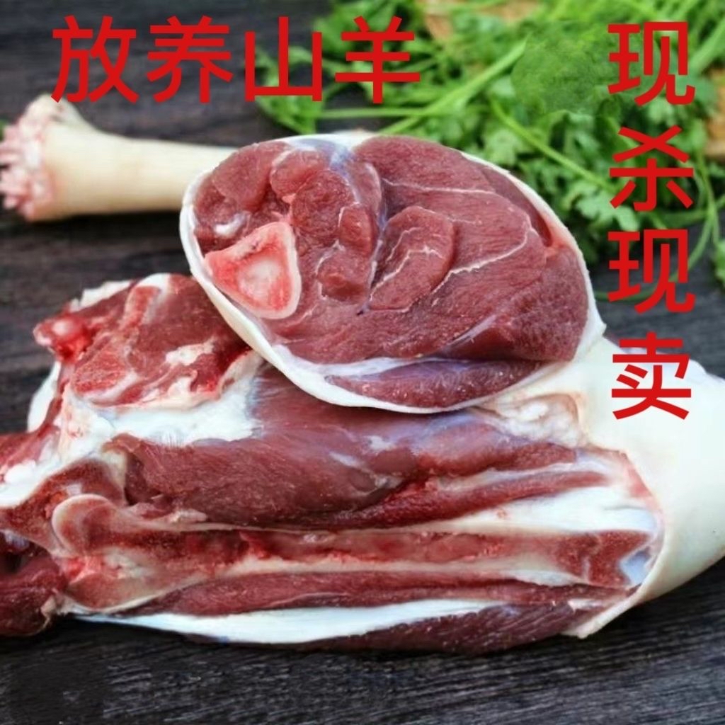 一物一拍 纯黑山羊 顺丰包邮