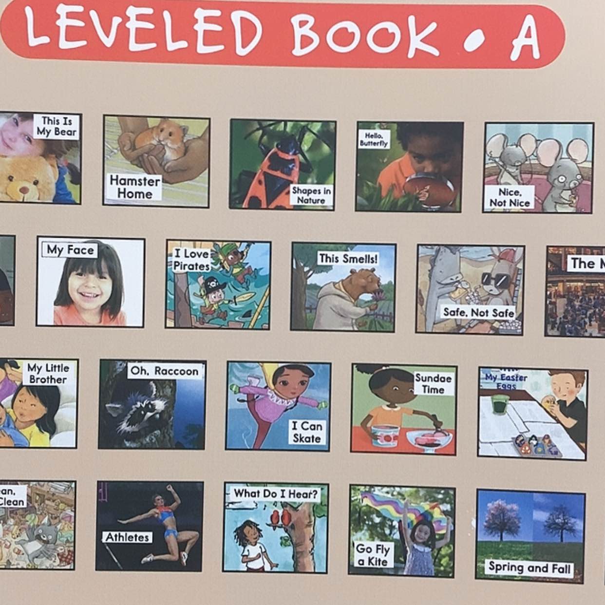 【闪购商品】RaZ a合订道林纸