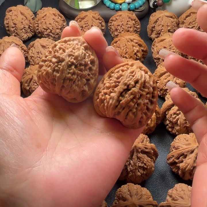 文玩核桃把件蚂蚁