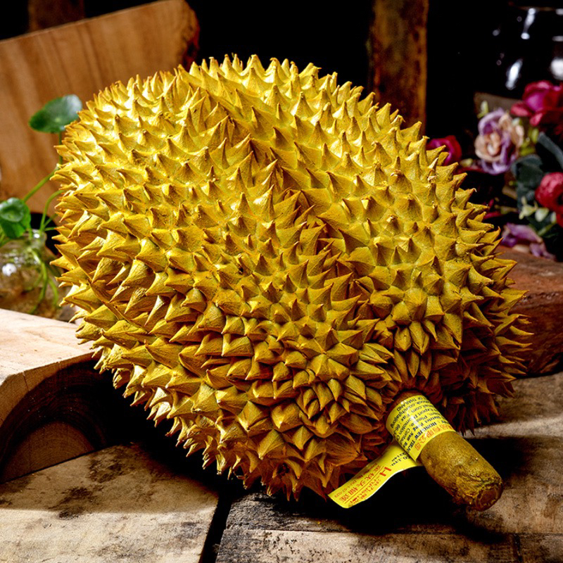 泰国金枕榴莲鲜果6.15斤