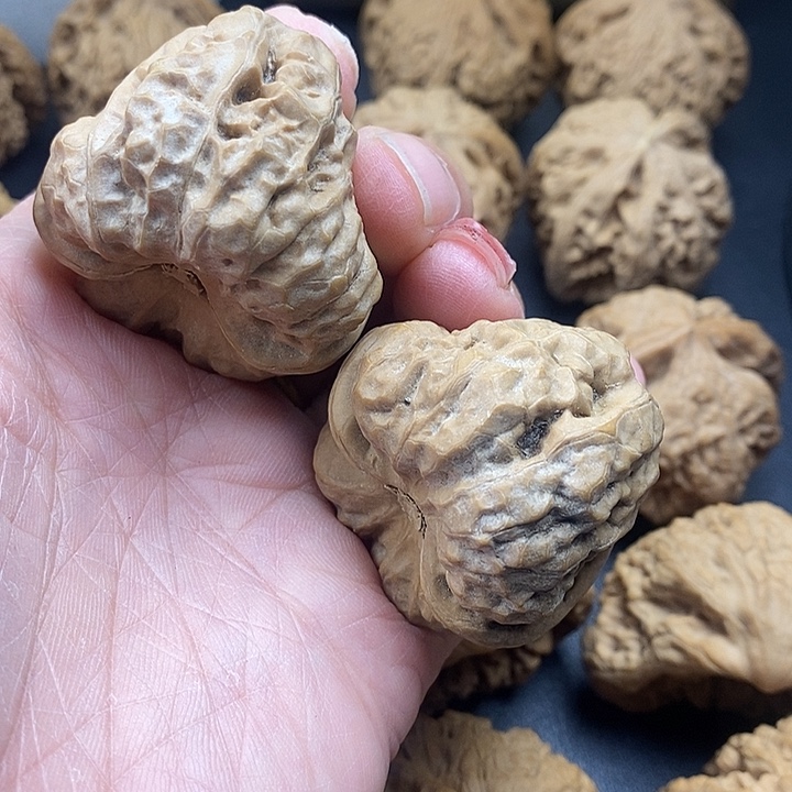 龙脊菩提吊坠蛙王41