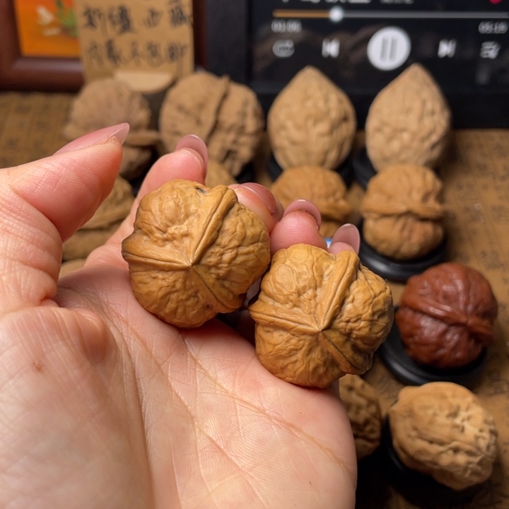 顾***白如图所示一物一拍111