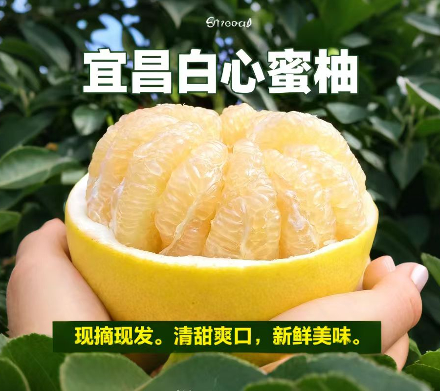 【正宗白心蜜柚】湖北宜昌新鲜现摘蜜柚时令新鲜水果孕妇水果清甜