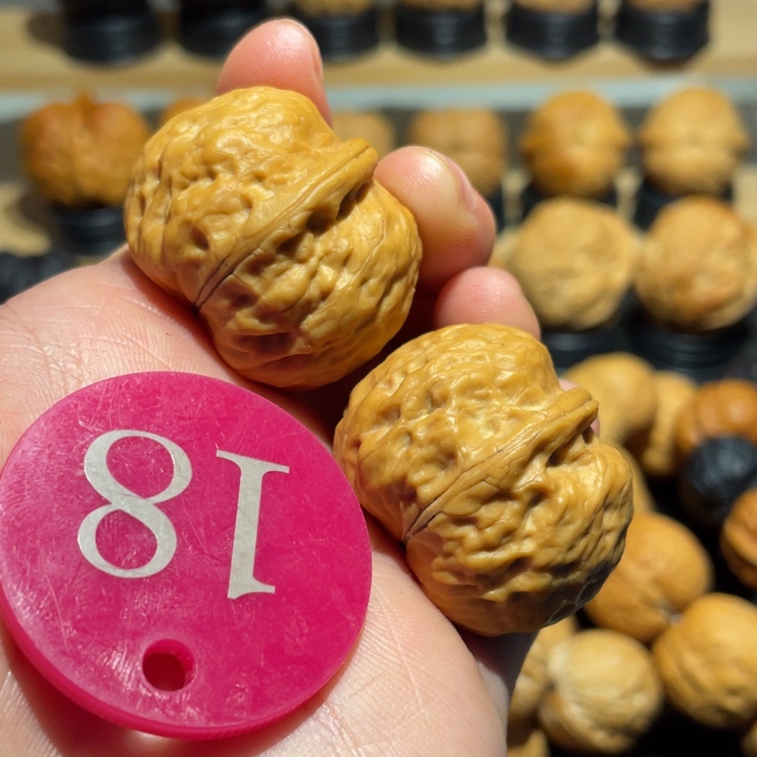 掌中宝核桃33。   